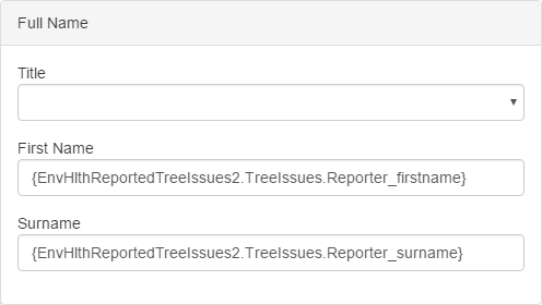 Picture showing the Complex Name Element with input mappings defined.
