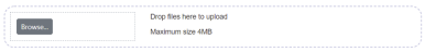 Picture showing the File Upload Element after the user has selected a file.