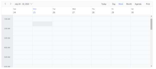 Picture showing the default Schedule Element.