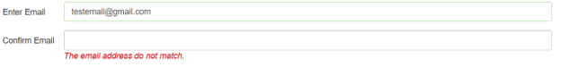 Picture showing Email Error Message for Email Text Box Element.