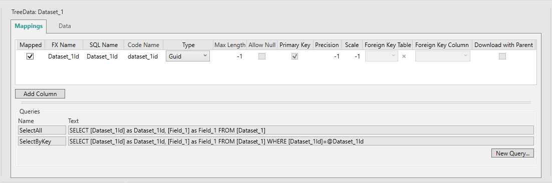 Picture showing Mappings tab for an open Dataset.