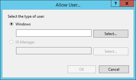 Picture showing the Allow User dialog box.