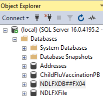 Picture showing the NDLFXDB Database Listed Under Databases. 